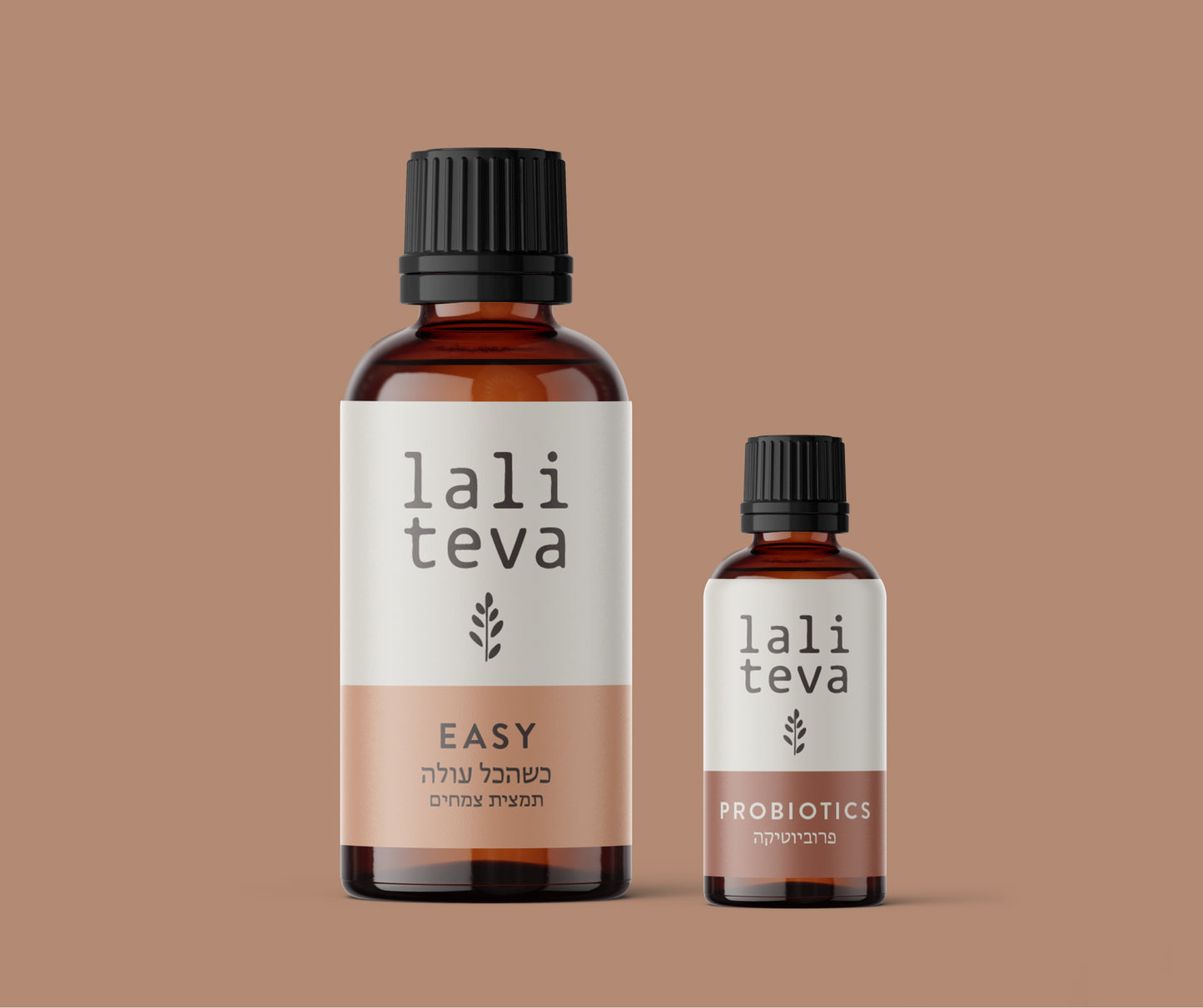 מארז וירוס בטן והקאות