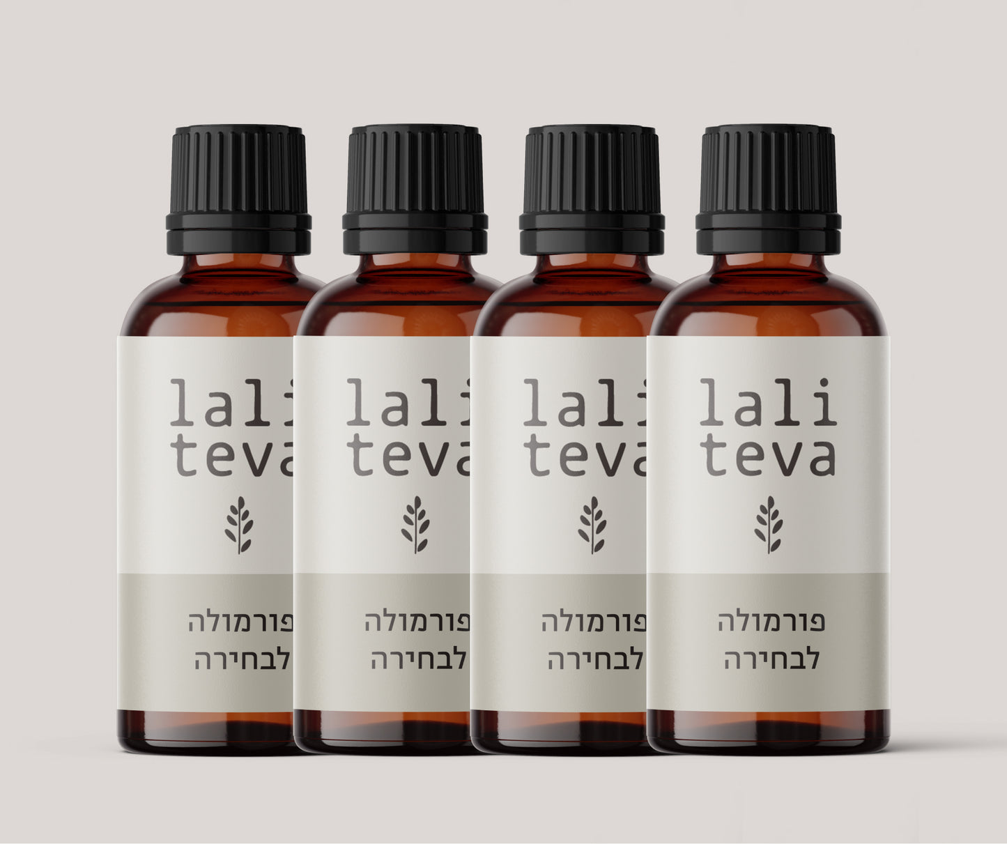 מארז רביעייה בהרכבה