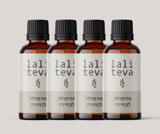 מארז רביעייה בהרכבה